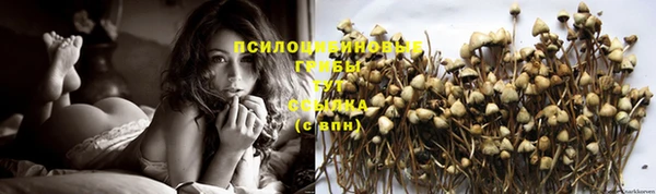круглые Бородино
