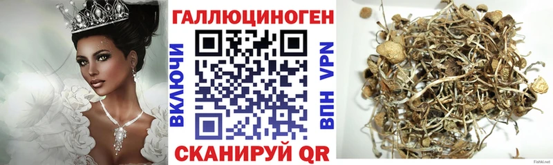 Псилоцибиновые грибы Psilocybe даркнет как зайти Вольск купить наркоту