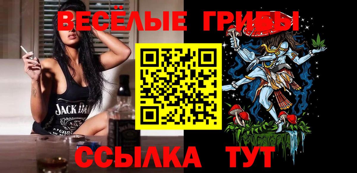 Галлюциногенные грибы GOLDEN TEACHER  Галлюциногенные грибы Psilocybine cubensis  Вход с VPN  Вольск 